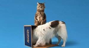 $15 Towards Pet Products and Supplies on the Chewy App
