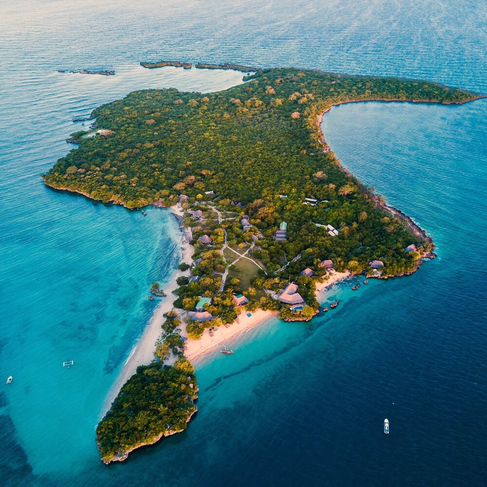 Go2Africa (US) Why Are African Safaris Expensive? Milled