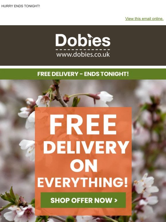 24 HOURS TO GO… FREE DELIVERY on EVERYTHING