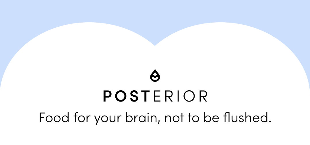 POSTERIOR BLOG