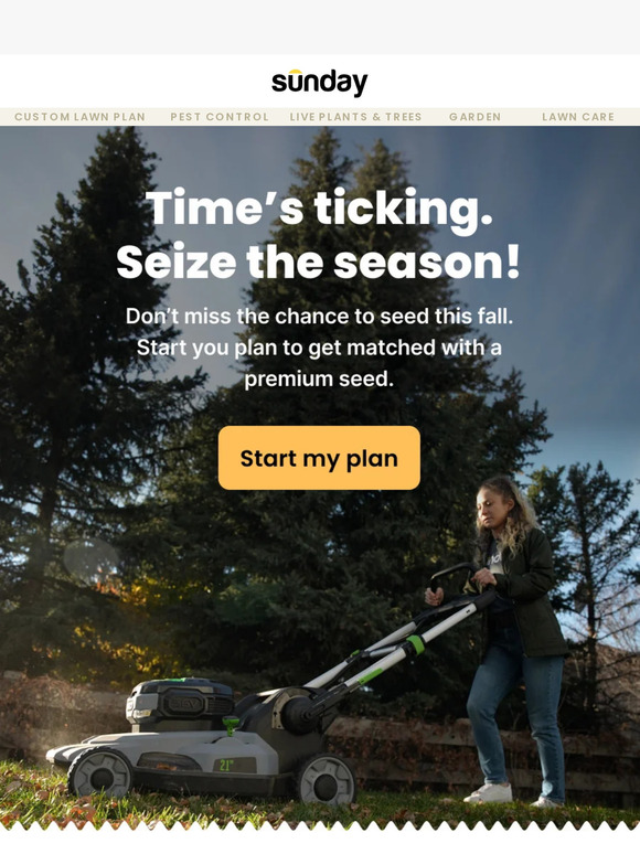 🚨 HURRY: seed your lawn ASAP