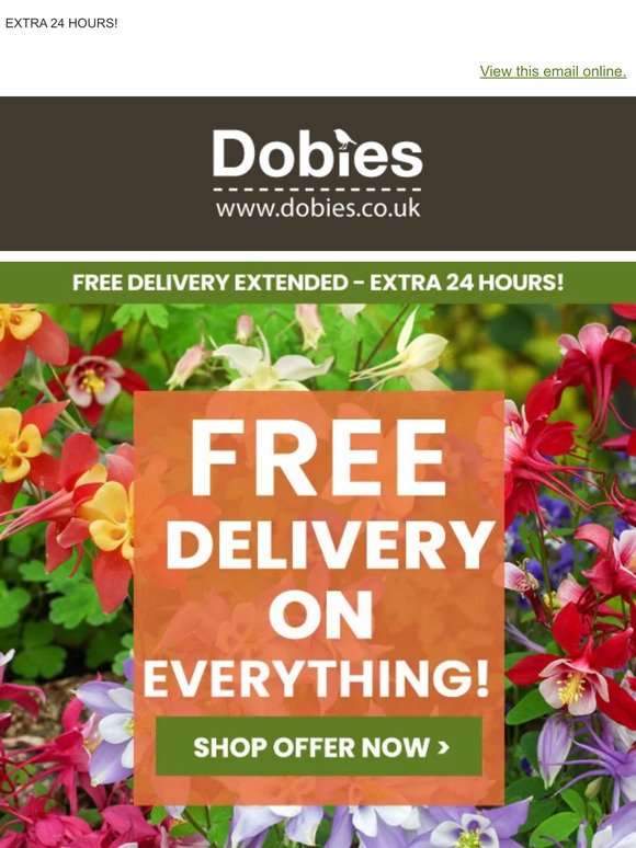 EXTRA 24 HOURS! FREE DELIVERY on EVERYTHING!