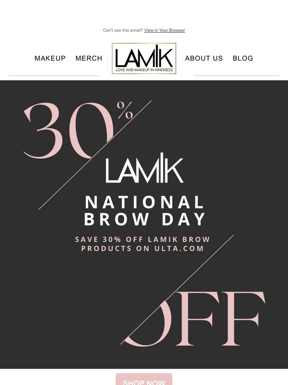 30% off for National Brow Day!