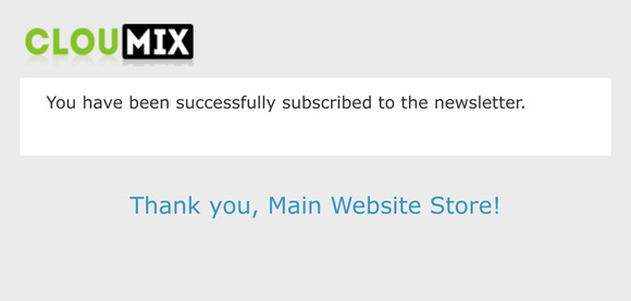 Newsletter subscription success