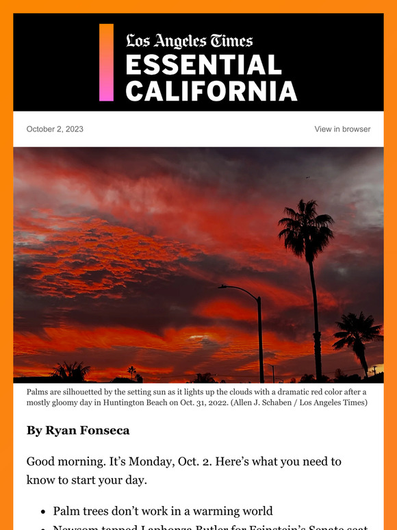 Why palm trees make less sense in a warming world