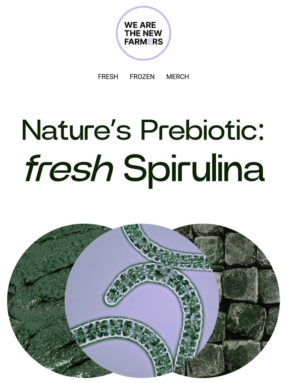 Strengthen your gut with Fresh Spirulina 💪