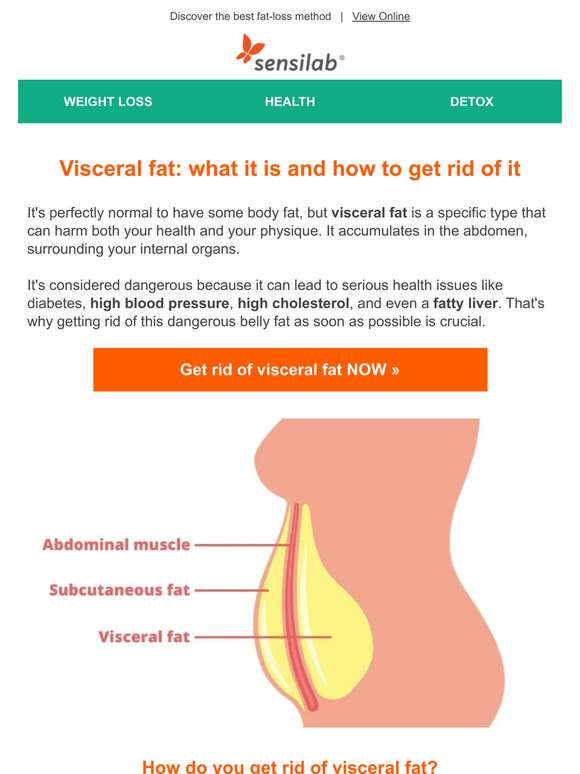 sensilab-europe-visceral-fat-why-you-need-to-get-rid-of-it-milled