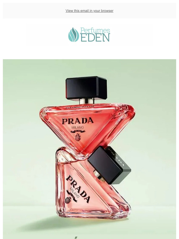 Elige tus marcas favoritas y descubre sus últimas novedades 🌟