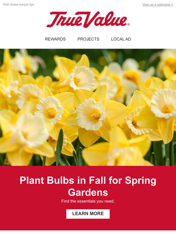 True Value Hardware Here's How to Plant Bulbs in Fall for Spring