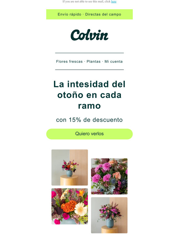 Ramos con colores de otoño por -15% 🍁🧡🌰