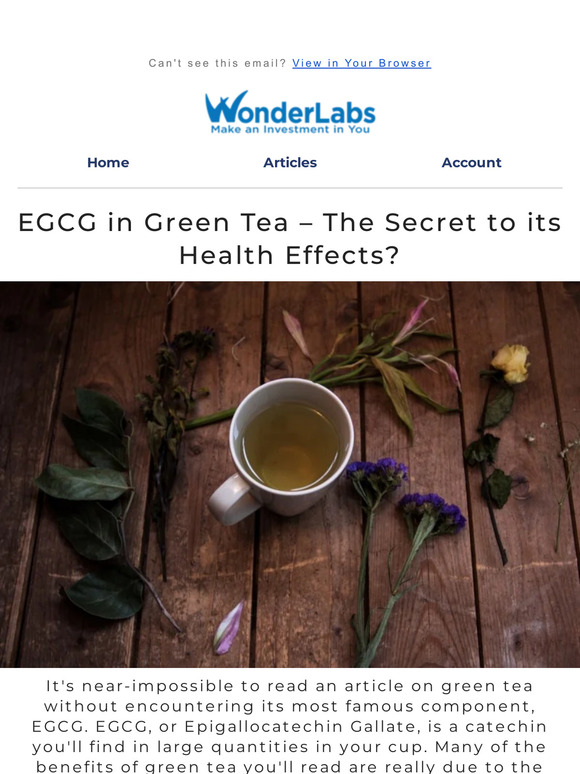 Wonder Laboratories All You Need to Know About EGCG & Green Tea Milled