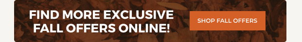 FIND MORE EXCLUSIVE FALL OFFERS ONLINE