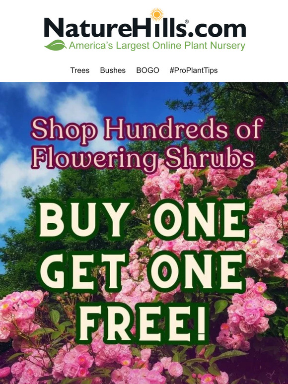 Nature Hills Nursery Flowering shrubs and more are buy one get one