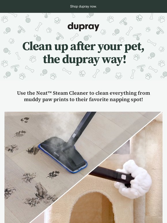 It's National Pet Day, let's get cleaning!