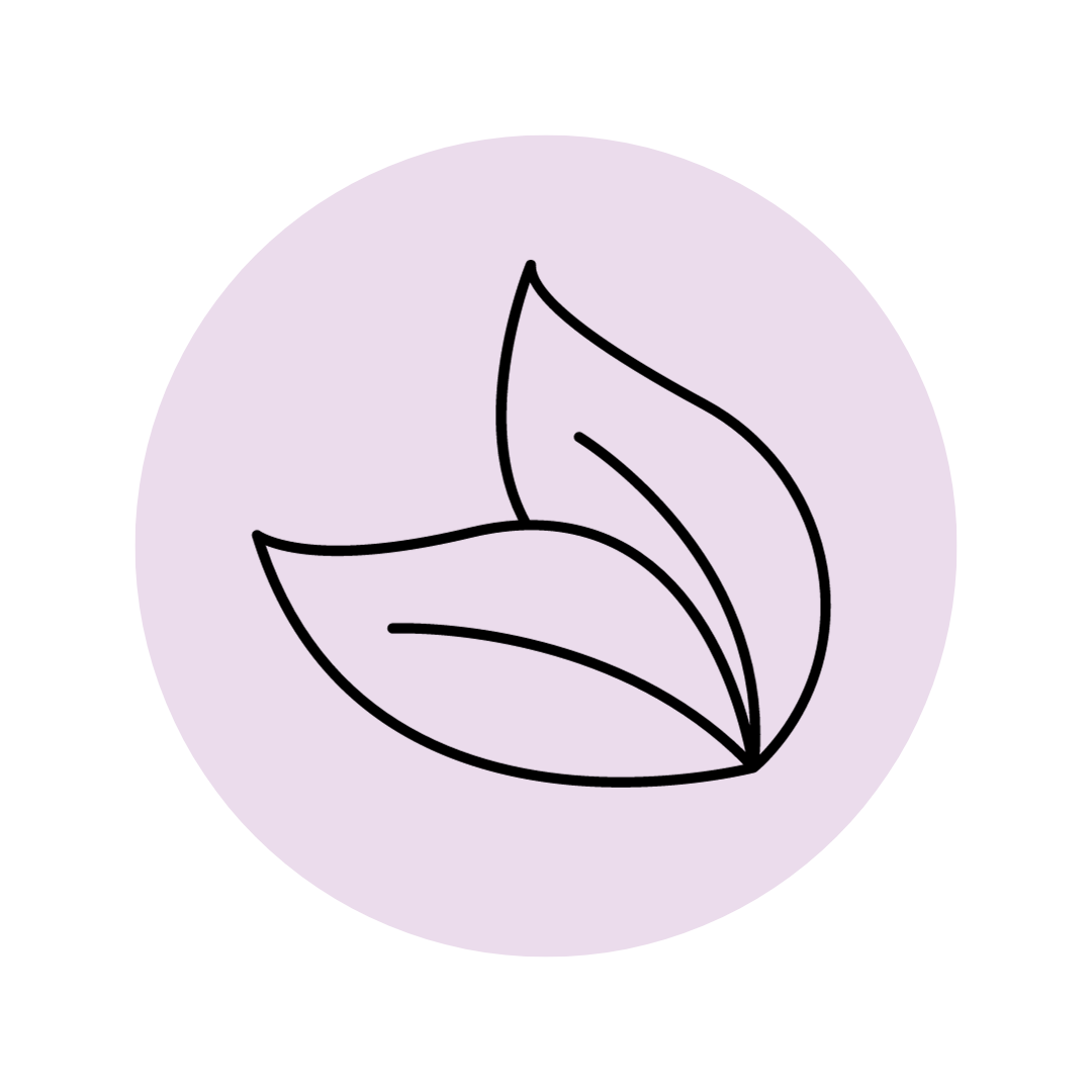 REASON 2 | PREMIUM INGREDIENTS