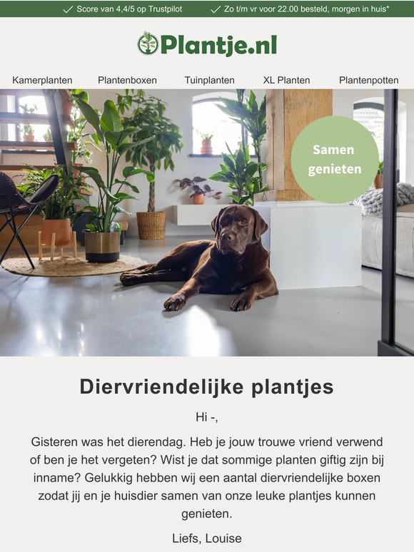 Onze diervriendelijke boxen met korting! 📦🐶