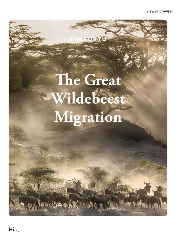 Your guide to the Great Migration