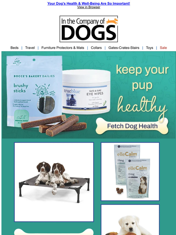 In The Company of Dogs Keep Your Puppy Healthy & Safe The Dog Health