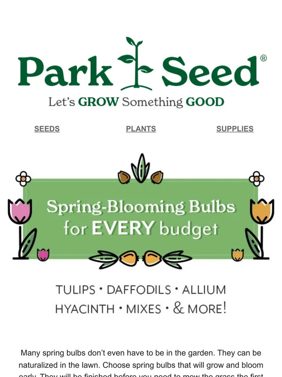 Bulbs to Plant Now and as low as 10 Milled