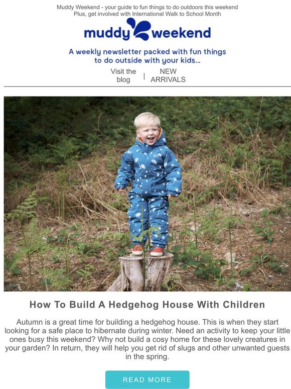 How To Build A Hedgehog House 🦔