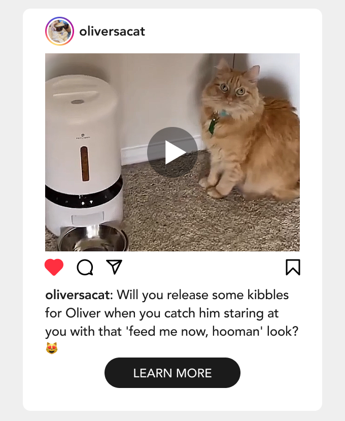 Oliver Feed Me Know