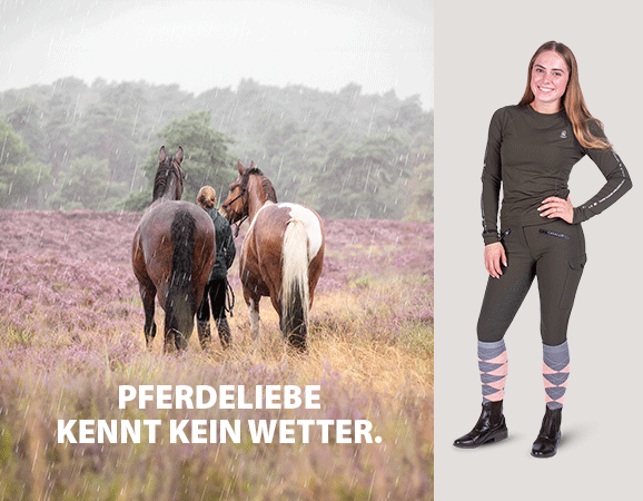 EQUIVA Layer Looks