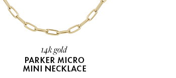 14k gold parker micro mini necklace