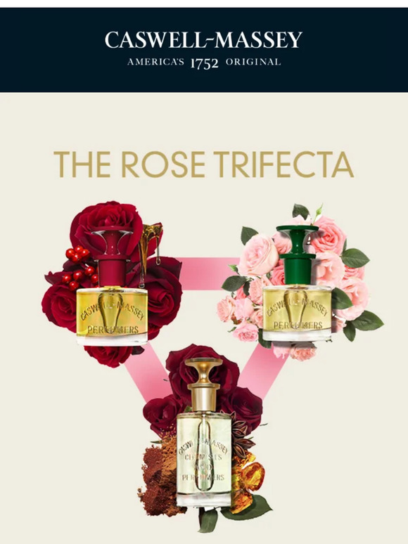 3 Rose Scents You Need to Try🌹