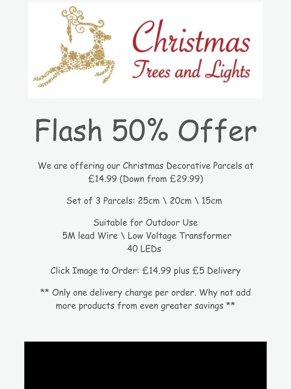 Flash Offer from Christmas Trees and Lights
