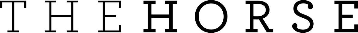 THE HORSE