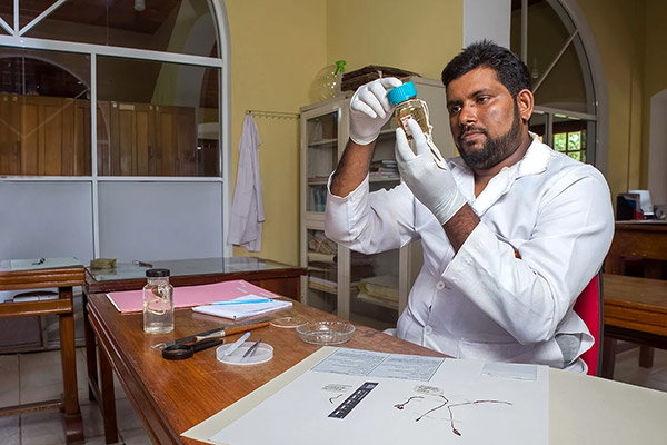 A man with short dark hair and a trimmed beard holds a specimen jar in his white-gloved hands. He’s wearing a white lab coat and 