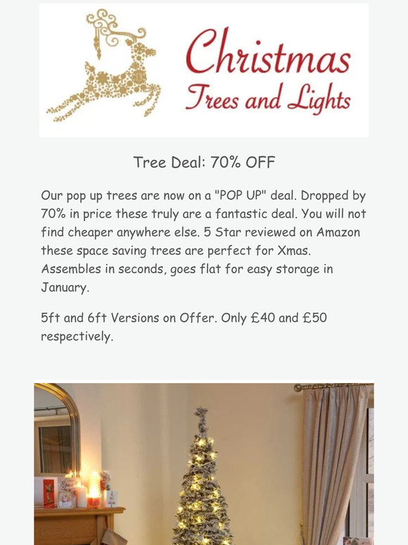Monthly news from Christmas Trees and Lights