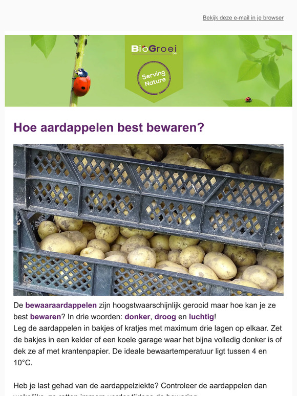🐞 Mulchen voor meer biodiversiteit | Tuintips oktober