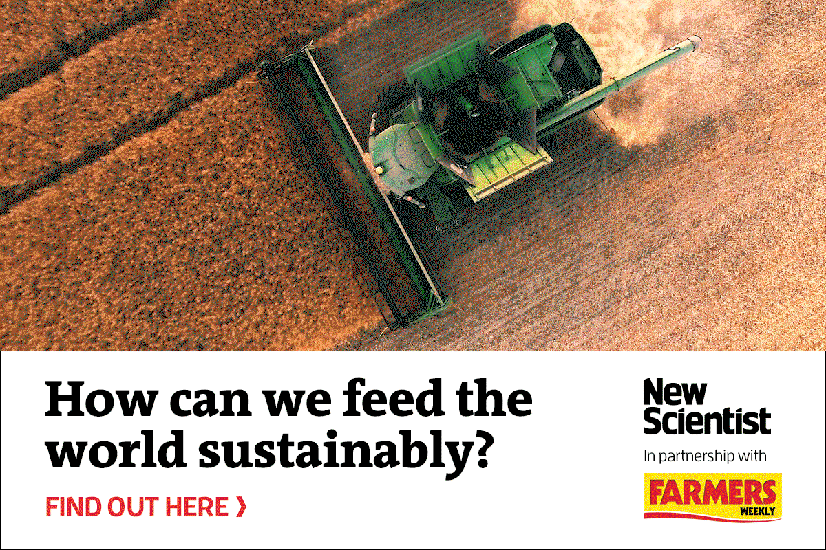How can we feed the world sustainably? Link to article