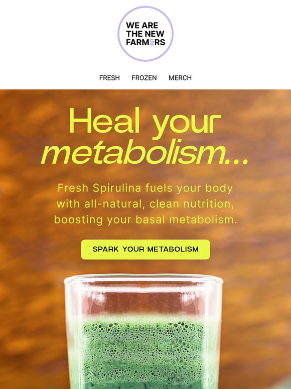 Boost your Metabolism 🔋