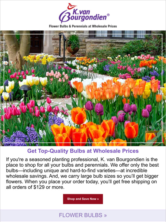 K. Van Bourgondien & Sons, Inc. Look like a pro, for less Milled