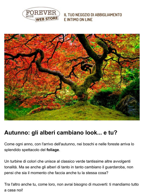 🍃🍂 Il bosco cambia armadio... e tu —?