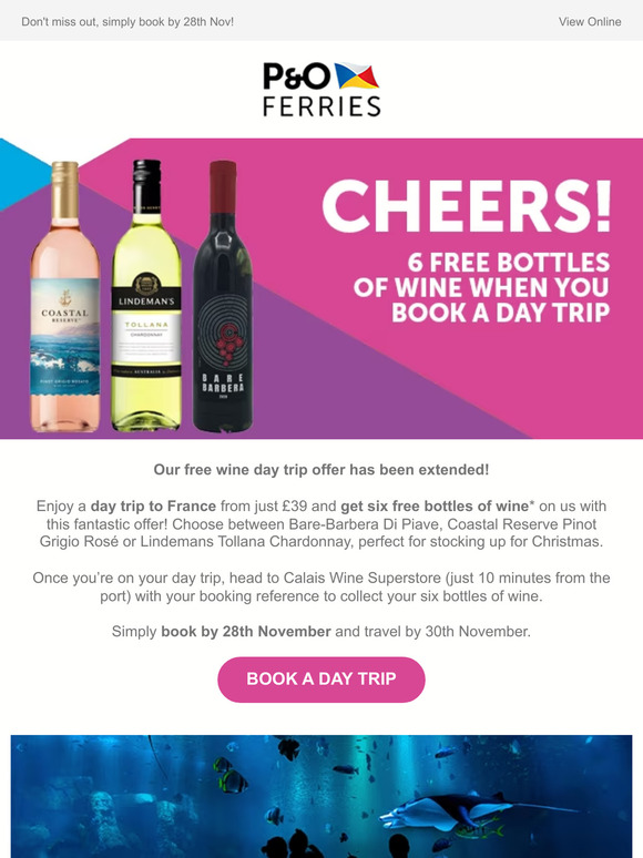 🍷 Free wine day trip extended! Perfect for festivities 🎄