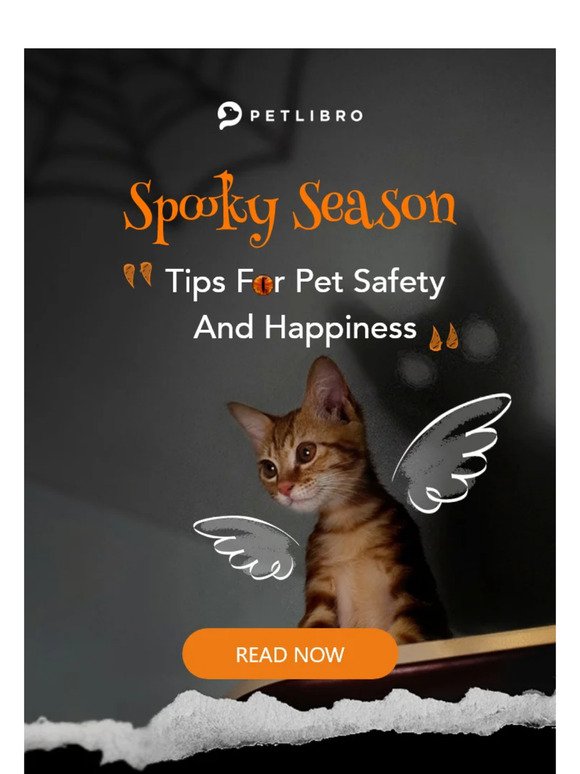 👻Pet Safety Tips for Spooky Season Fun
