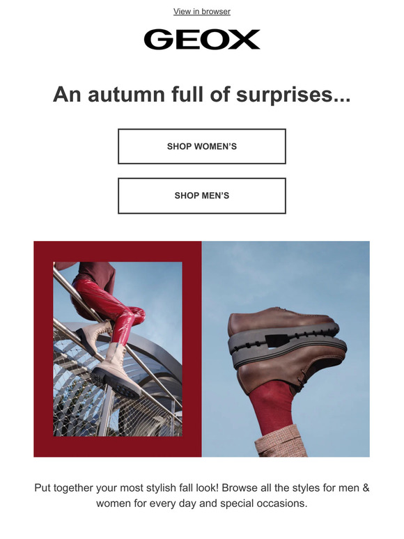 Autumn collection: See What's New! 🍂