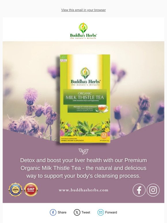 Detox and boost your liver health with our Premium Organic Milk Thistle Tea