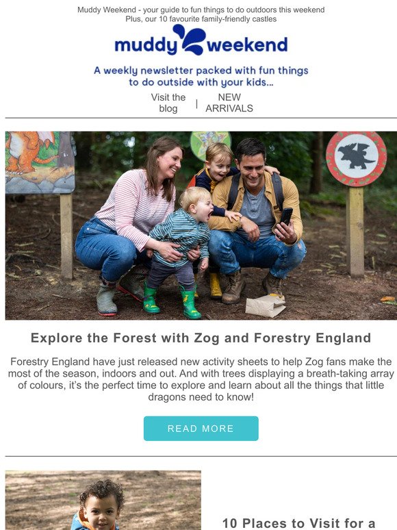 Explore the Forest with Zog and Forestry England 🌳