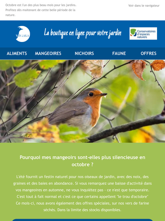 ⏰ Nos offres du mois d'octobre