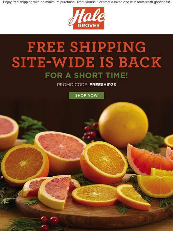 FREE Shipping Site-Wide is Back for a Short Time!