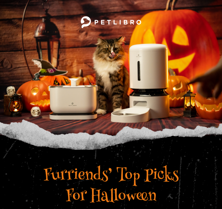 Furriends' Top Picks For Halloween
