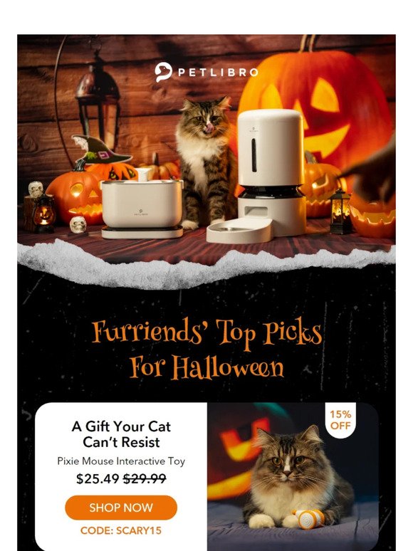 😻Furriend-Approved Top Picks For Halloween🐾