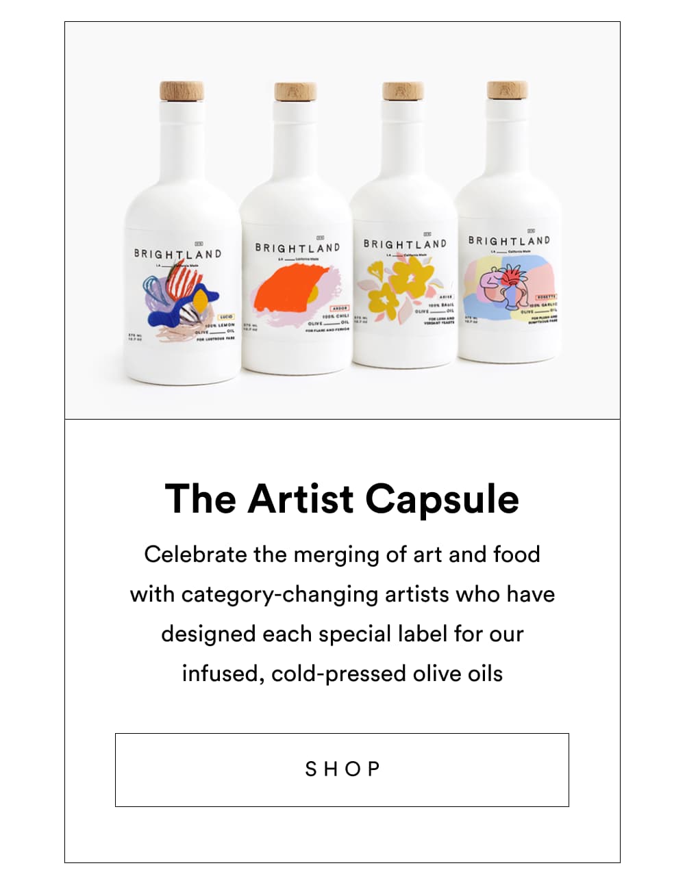 The Artist Capsule [ Shop ]