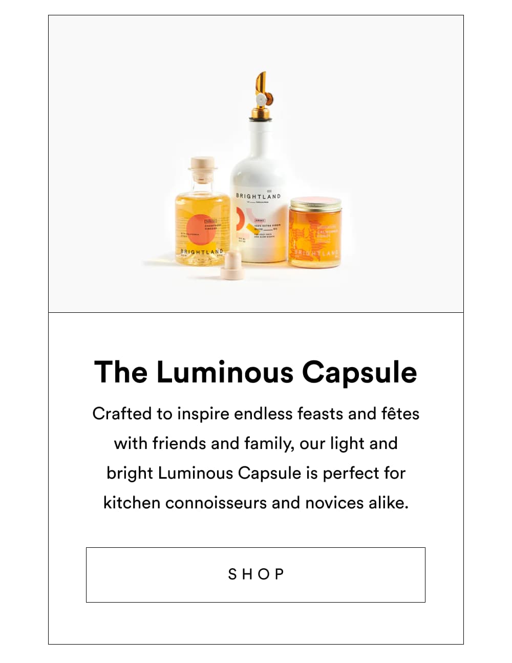 The Luminous Capsule [ Shop ]