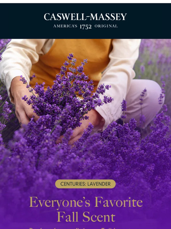Sweet Lavender