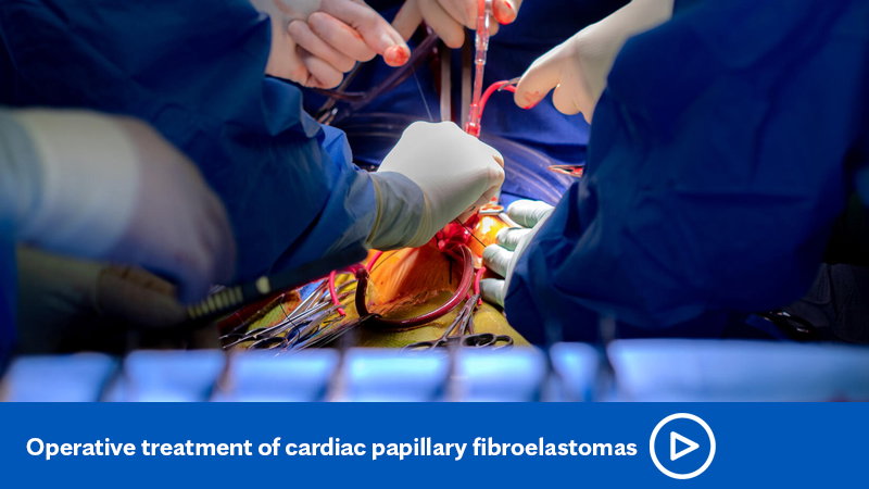 Mayo Clinic: Mayo Clinic Cardiovascular Physician Update - October 2023 ...